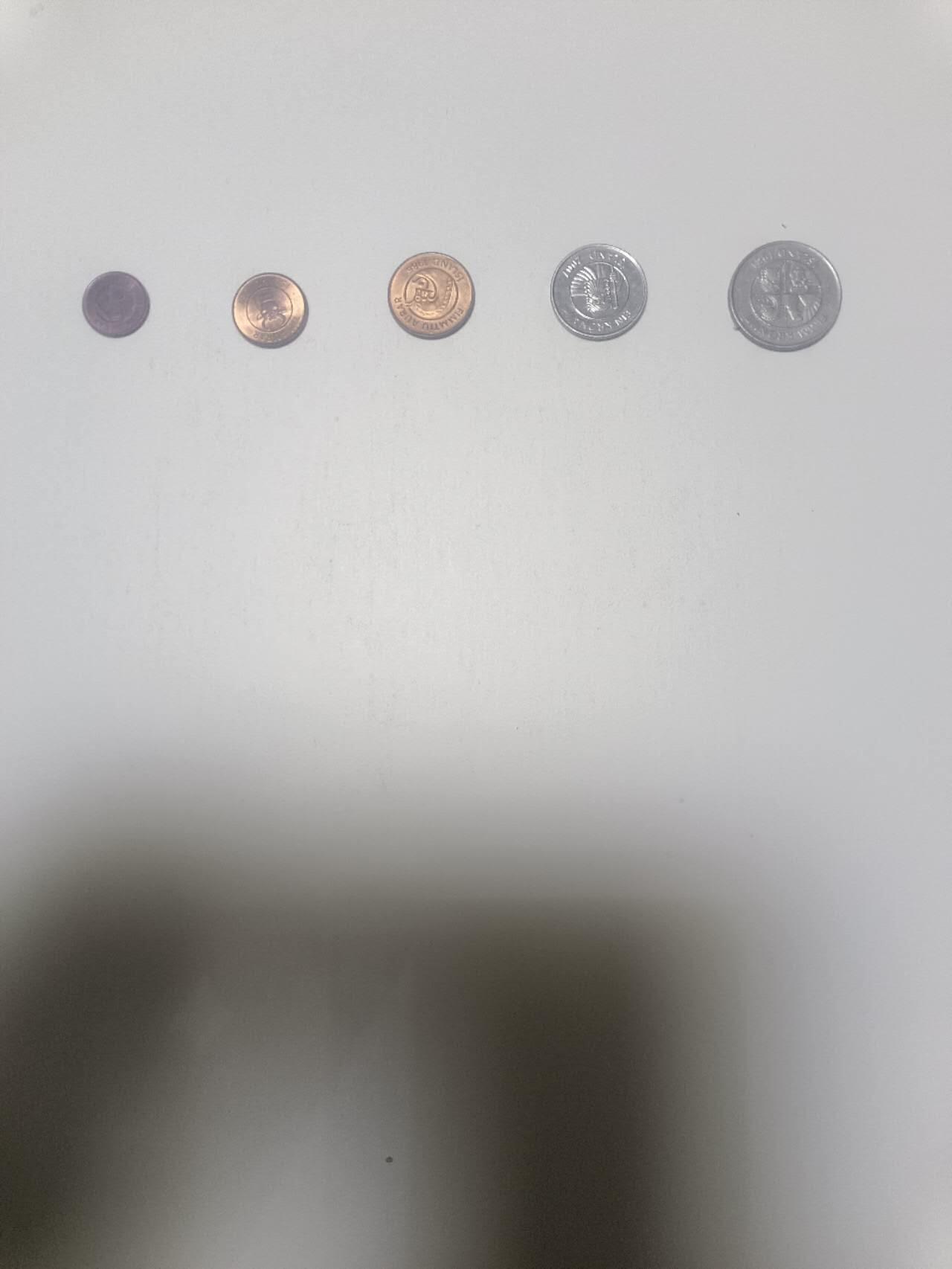 【20260210】非全新纸币和硬币第333场 冰岛5枚硬币小套