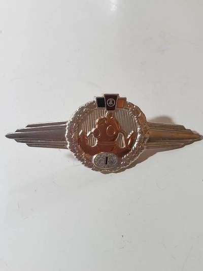 韵星假日军品类拍卖第40期 -- Rimey Holidays Militaria Auction 40 - 民主德国60版本一级人民军潜水技能章 早期特种部队 转轮版本