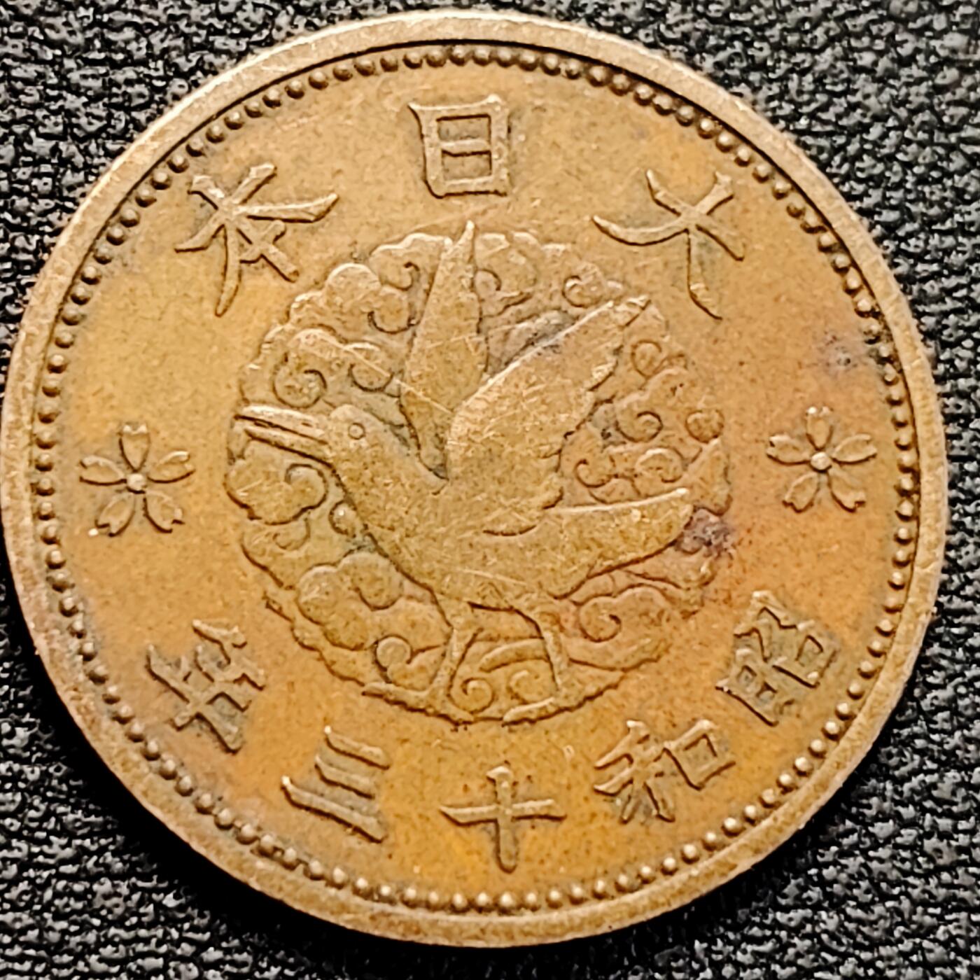 泉币菌-第183场- 精品福利场 。