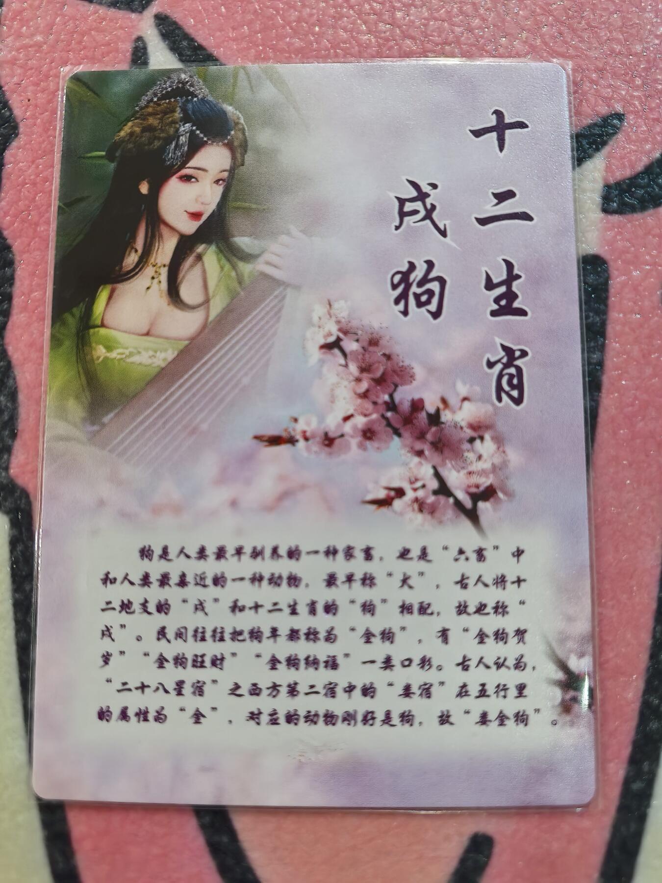 丫丫卡拍28期（2月8日22：00截拍）