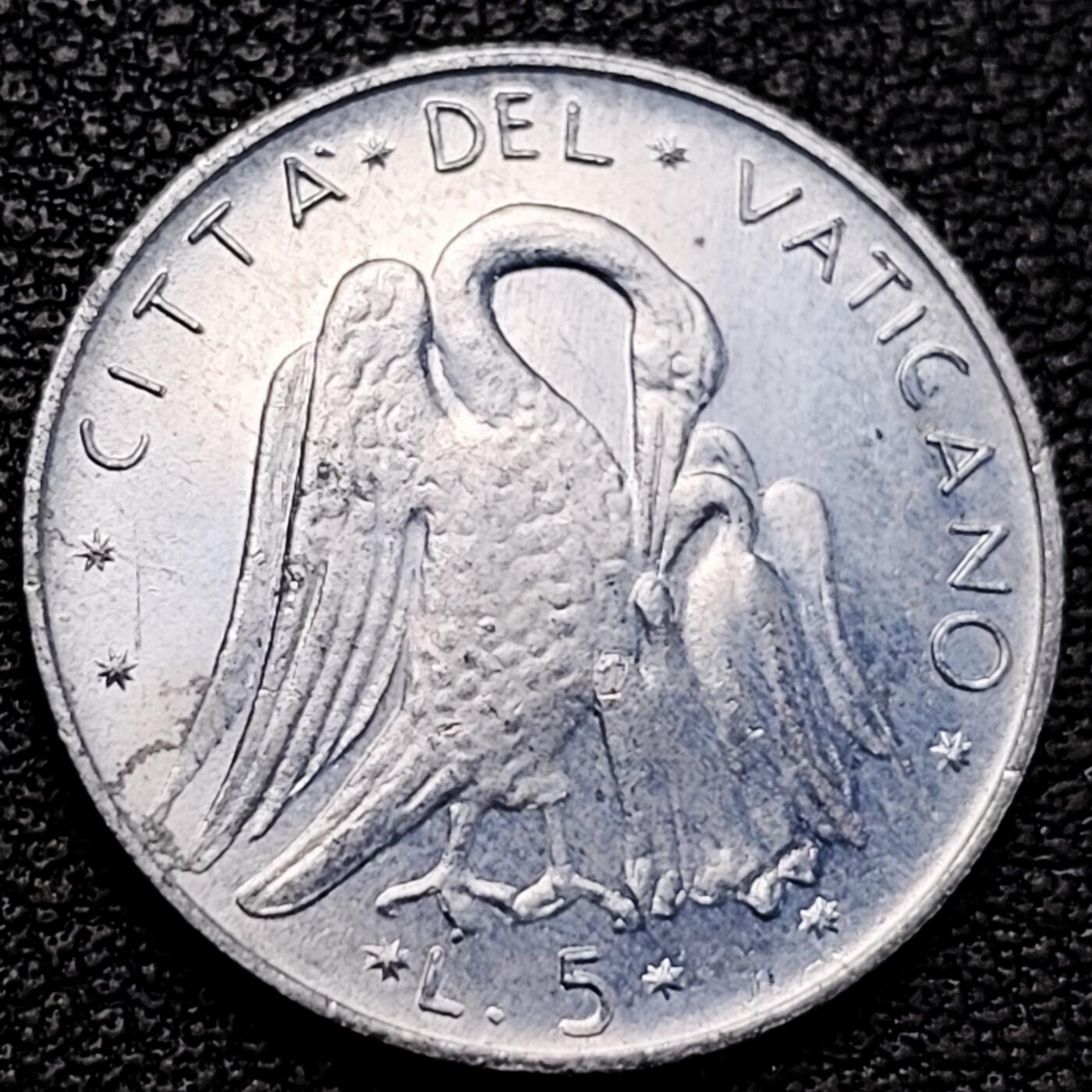 泉币菌-第183场- 精品福利场 。