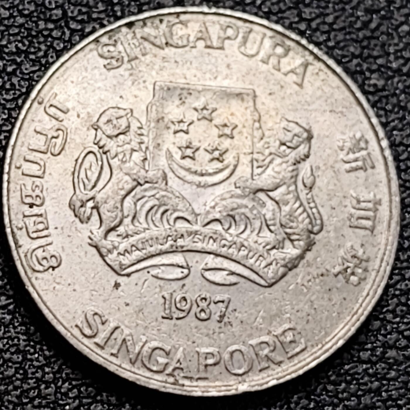 泉币菌-第183场- 精品福利场 。