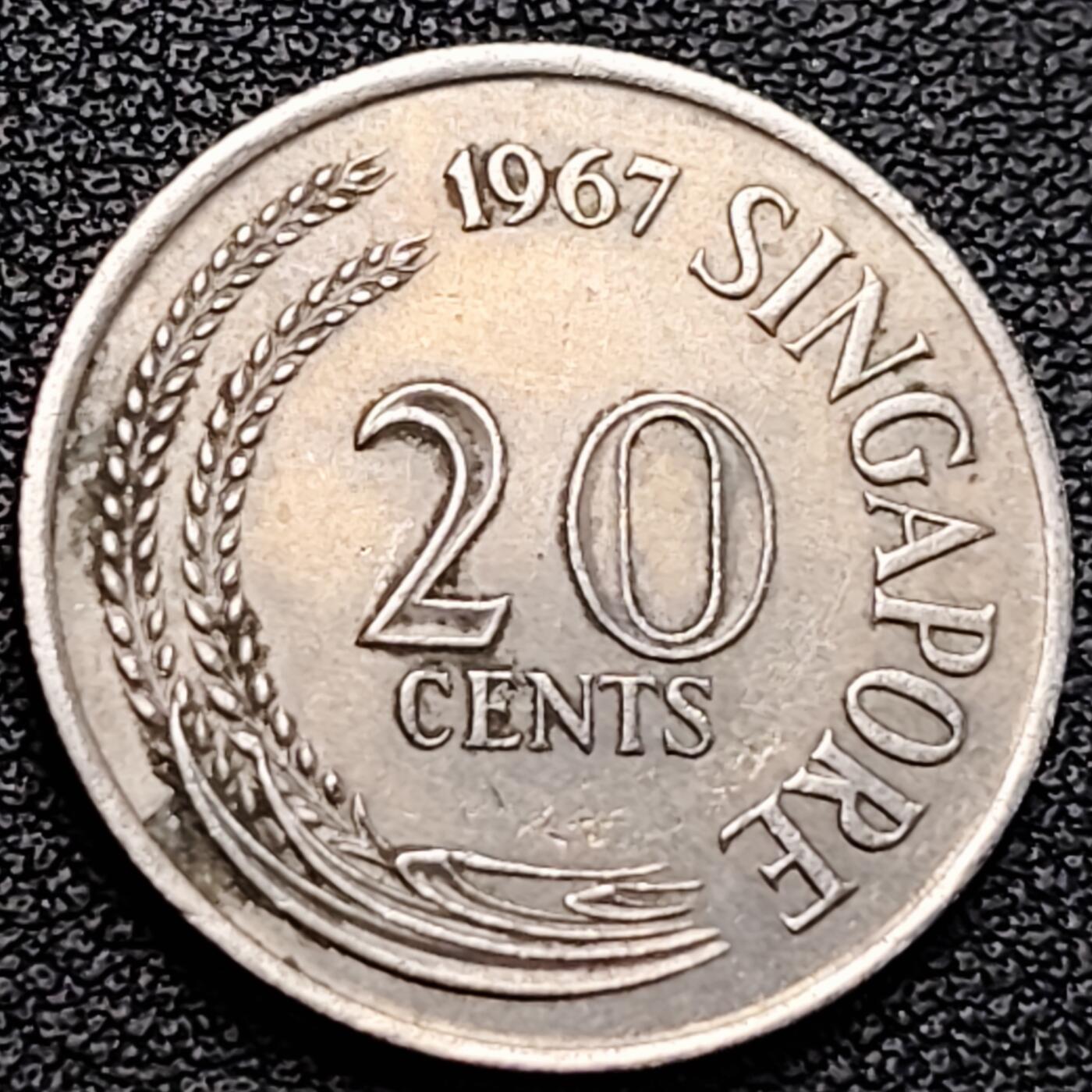 泉币菌-第183场- 精品福利场 。