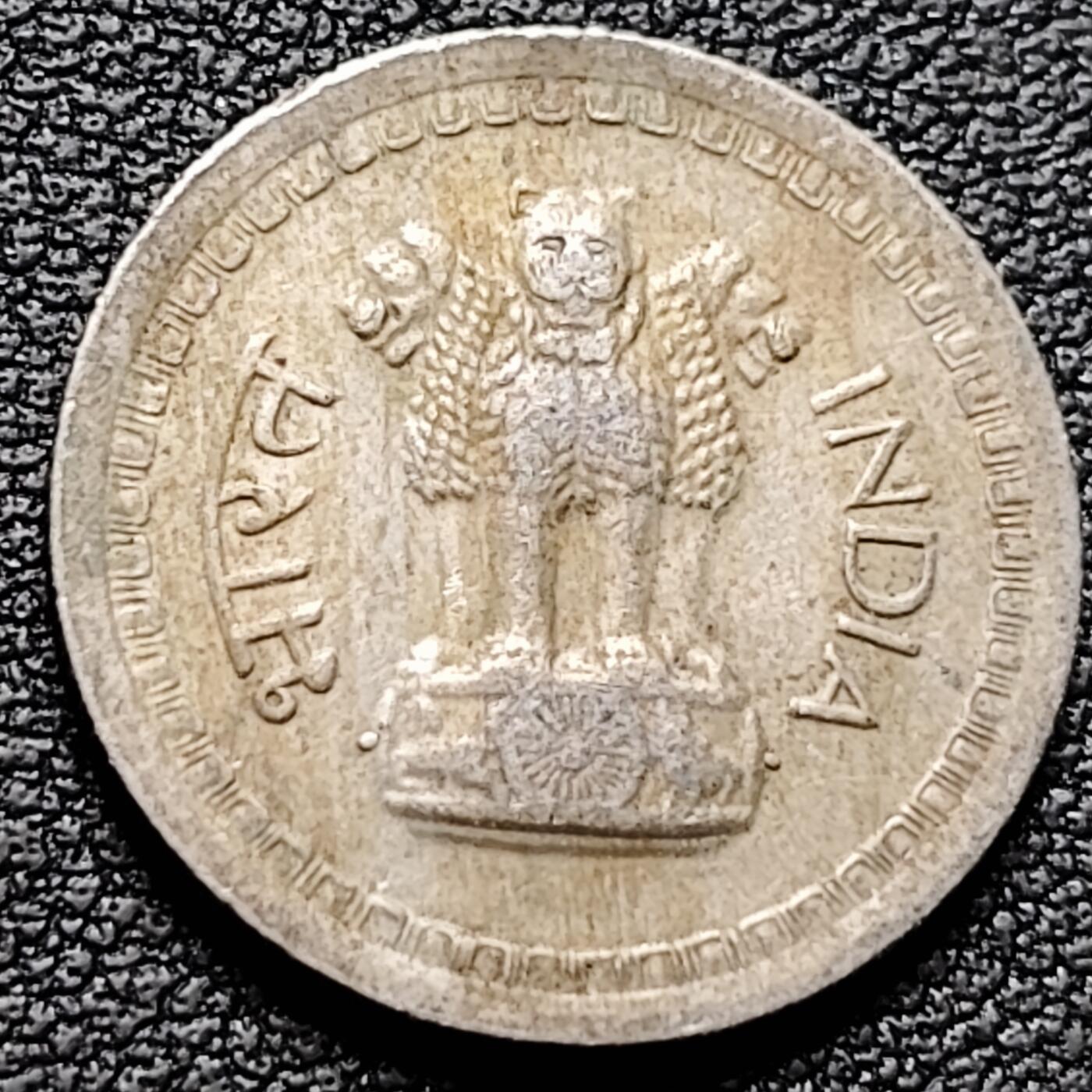 泉币菌-第184场- 精品福利场 。