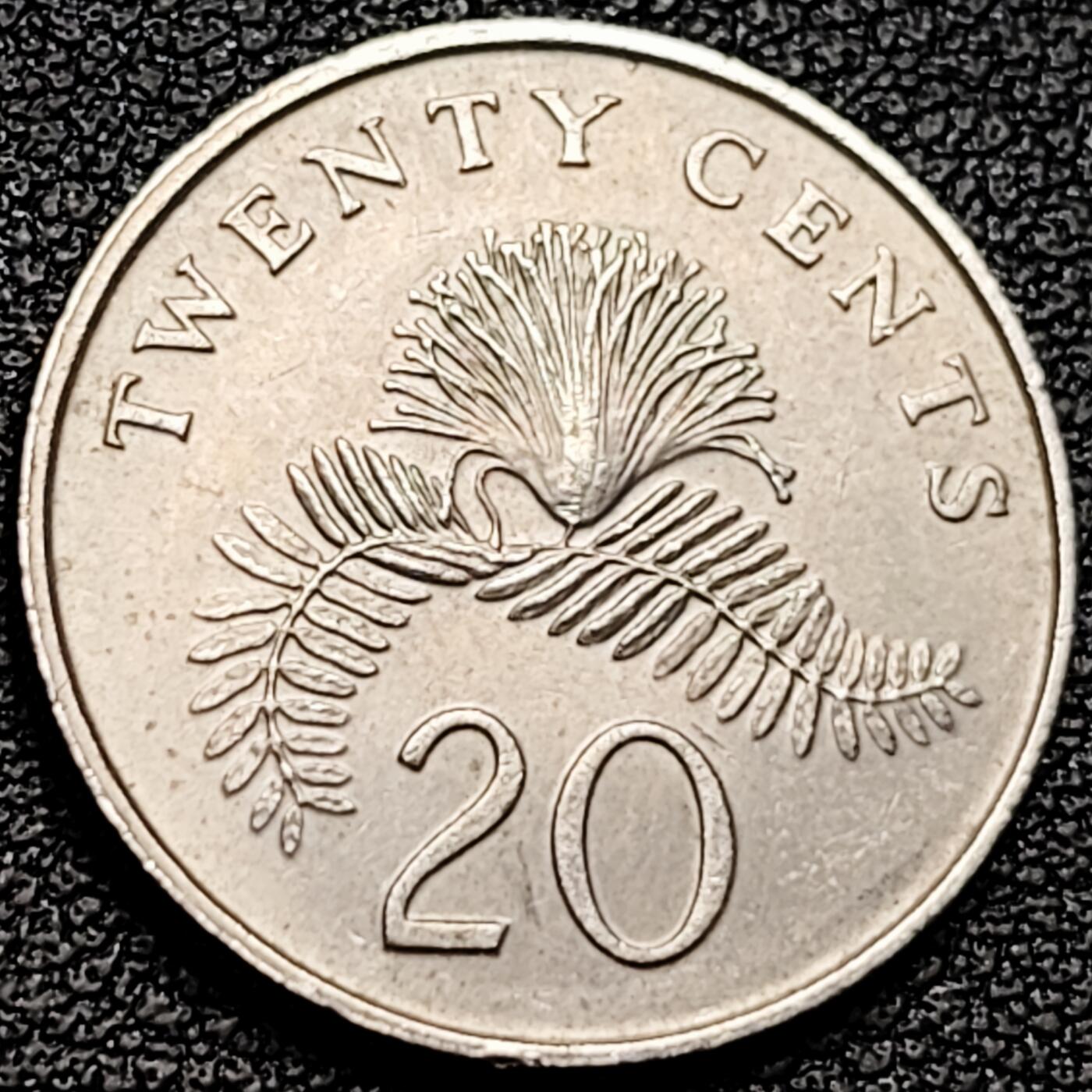 泉币菌-第185场- 精品福利场 。