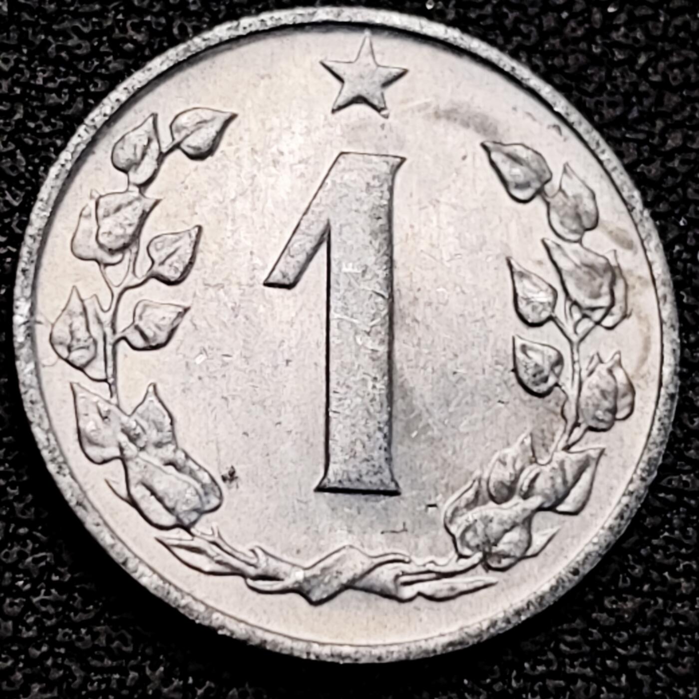 泉币菌-第183场- 精品福利场 。