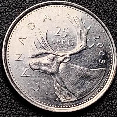 泉币菌-第184场- 精品福利场 今天的第一场 23:30分还有第二场 不见不散（192场和之前的 2月14日发货） - 高币值 加拿大2005年1/4加拿大元 伊丽莎白二世 驯鹿 24mm 