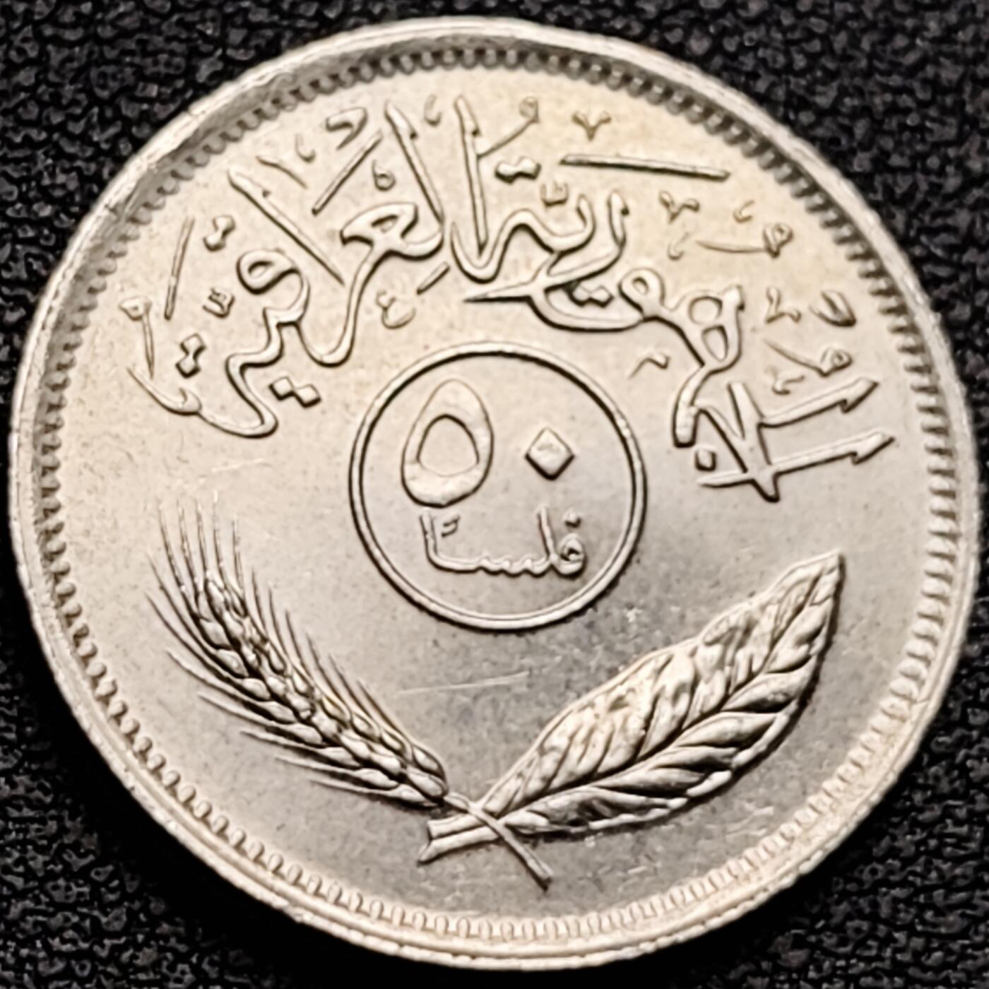 泉币菌-第184场- 精品福利场 。