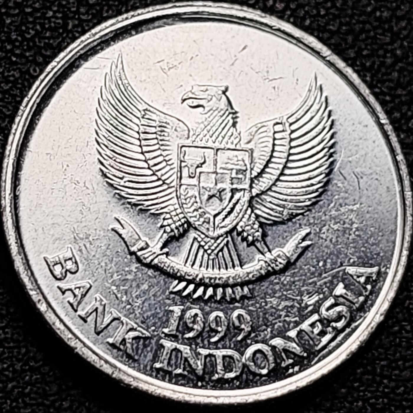 泉币菌-第184场- 精品福利场 。