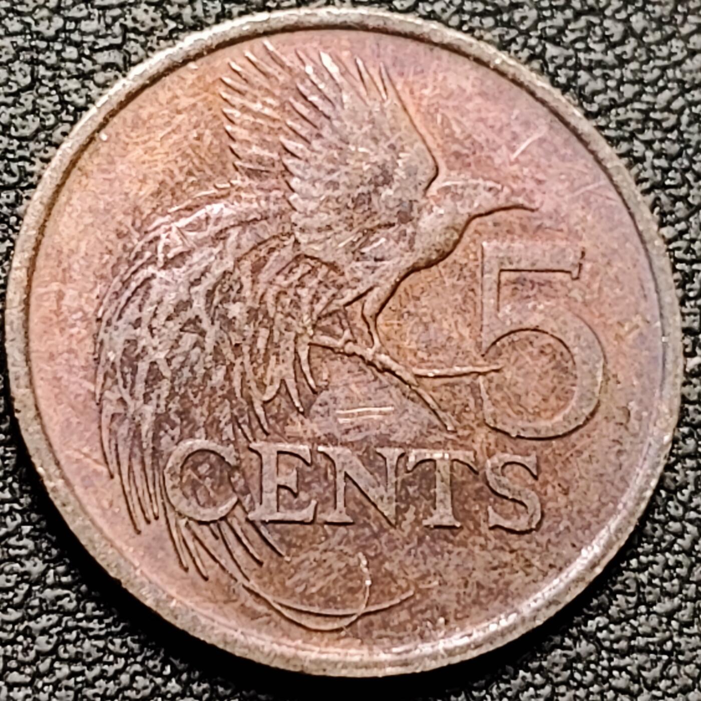 泉币菌-第184场- 精品福利场 。