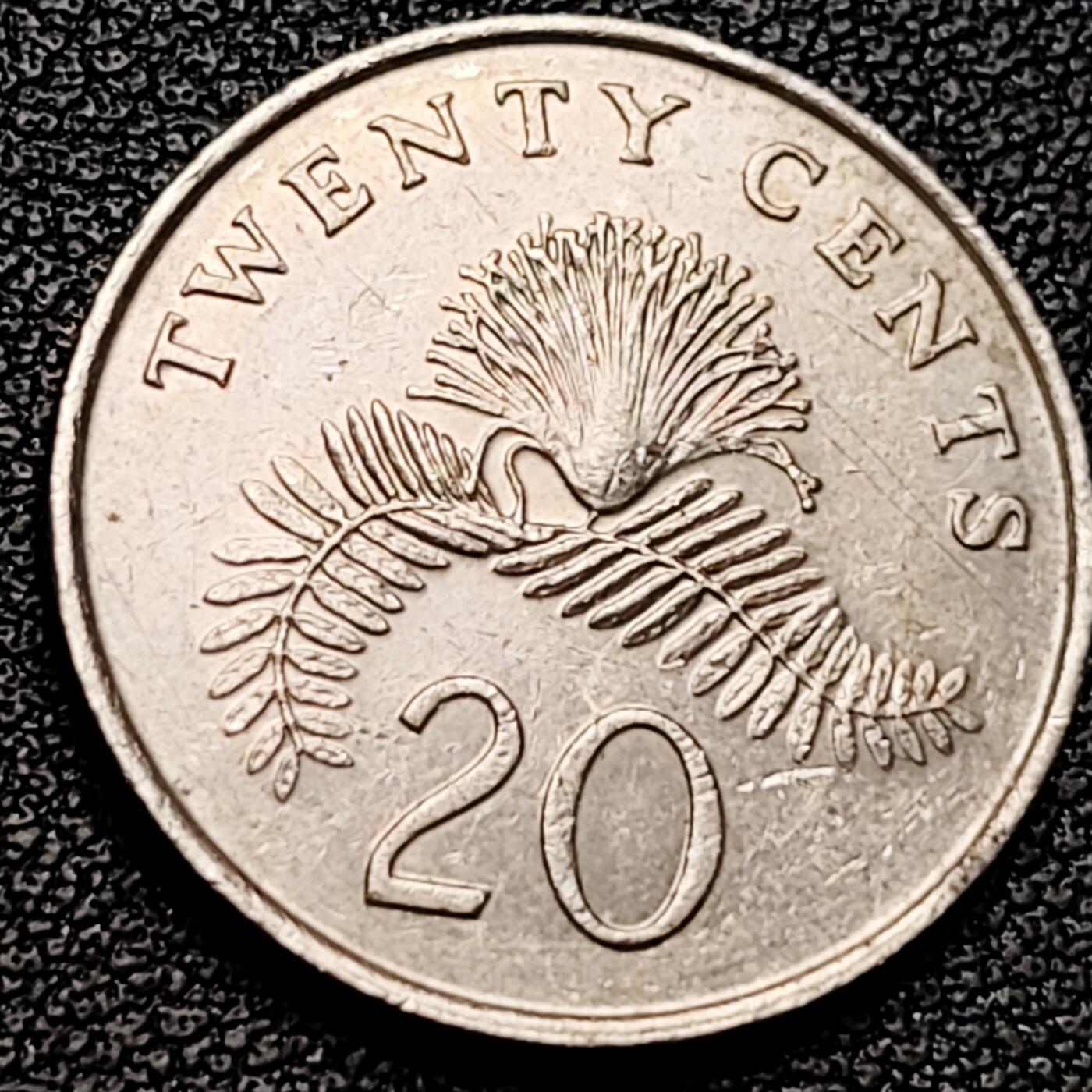 泉币菌-第185场- 精品福利场 。