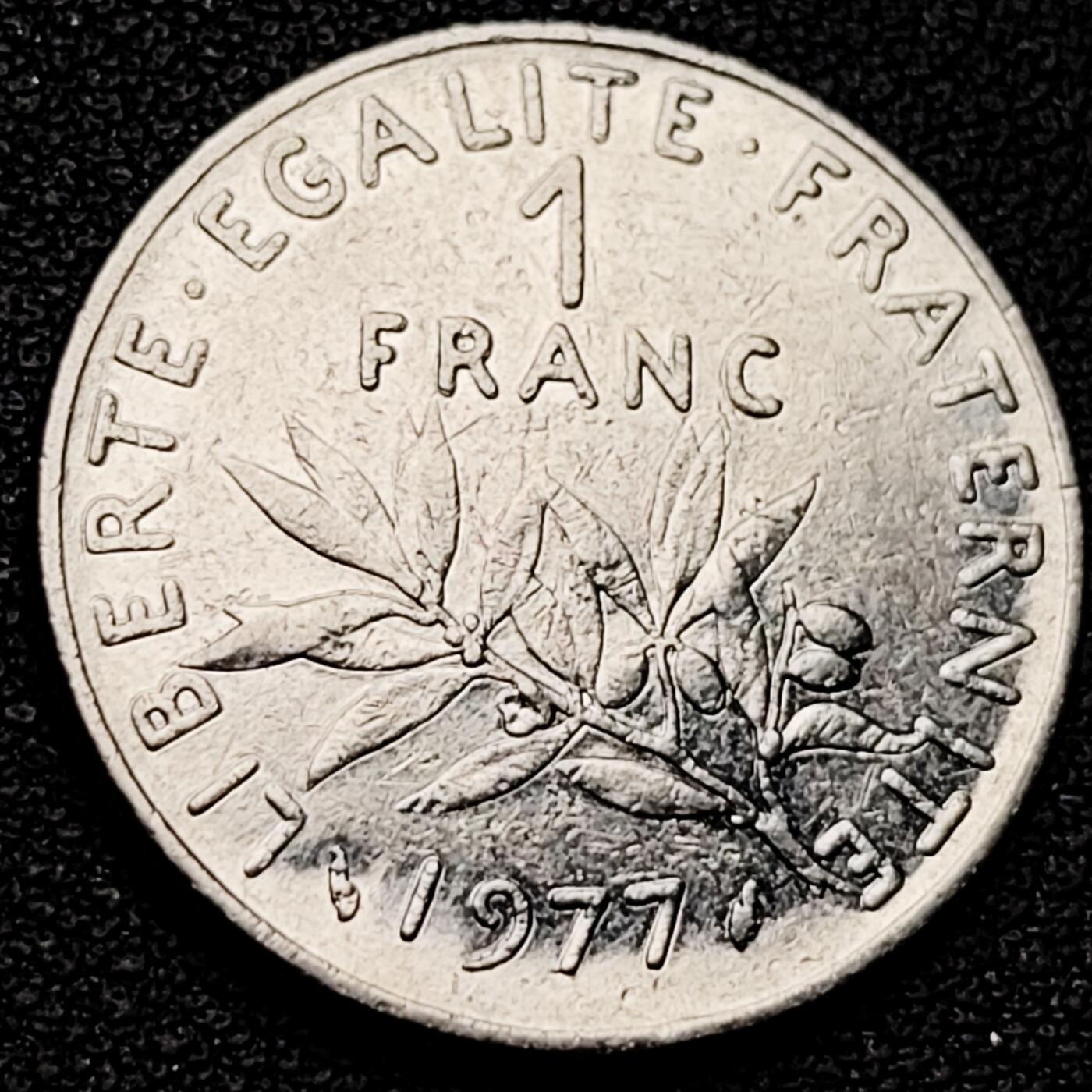 泉币菌-第182场- 精品福利场 。