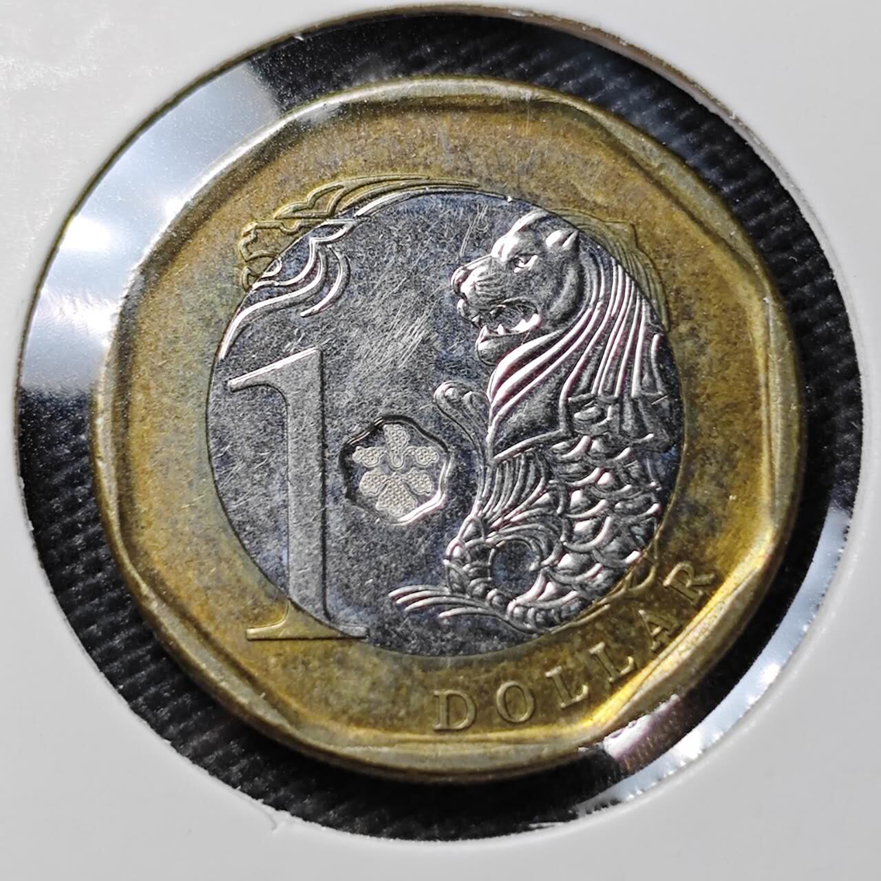 KK钱币收藏小铺  第395期  2月预留时间 周末发货