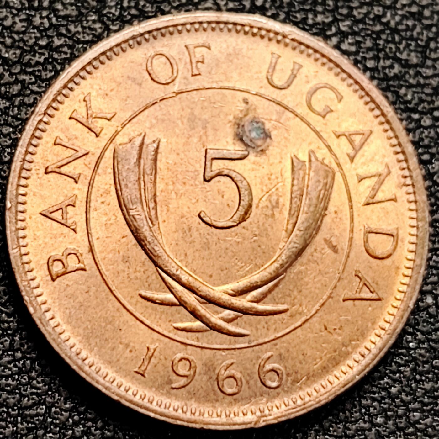 泉币菌-第183场- 精品福利场 。