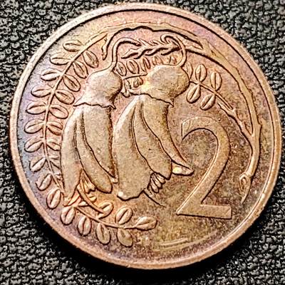 泉币菌-第182场- 精品福利场 - 英属新西兰1980年2分青铜币 金雀花 伊丽莎白二世女王  