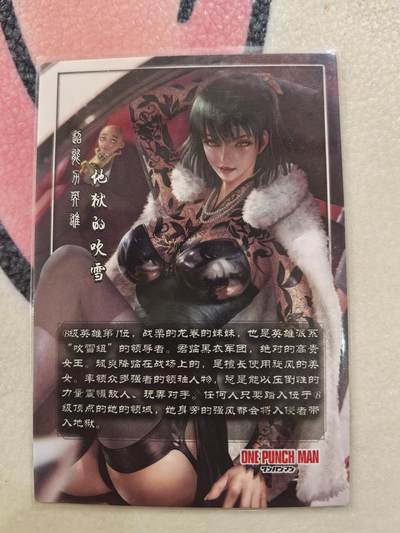 丫丫卡拍-场主生日🎂全场包邮（3月1日22：00截拍） ACG粗闪一张