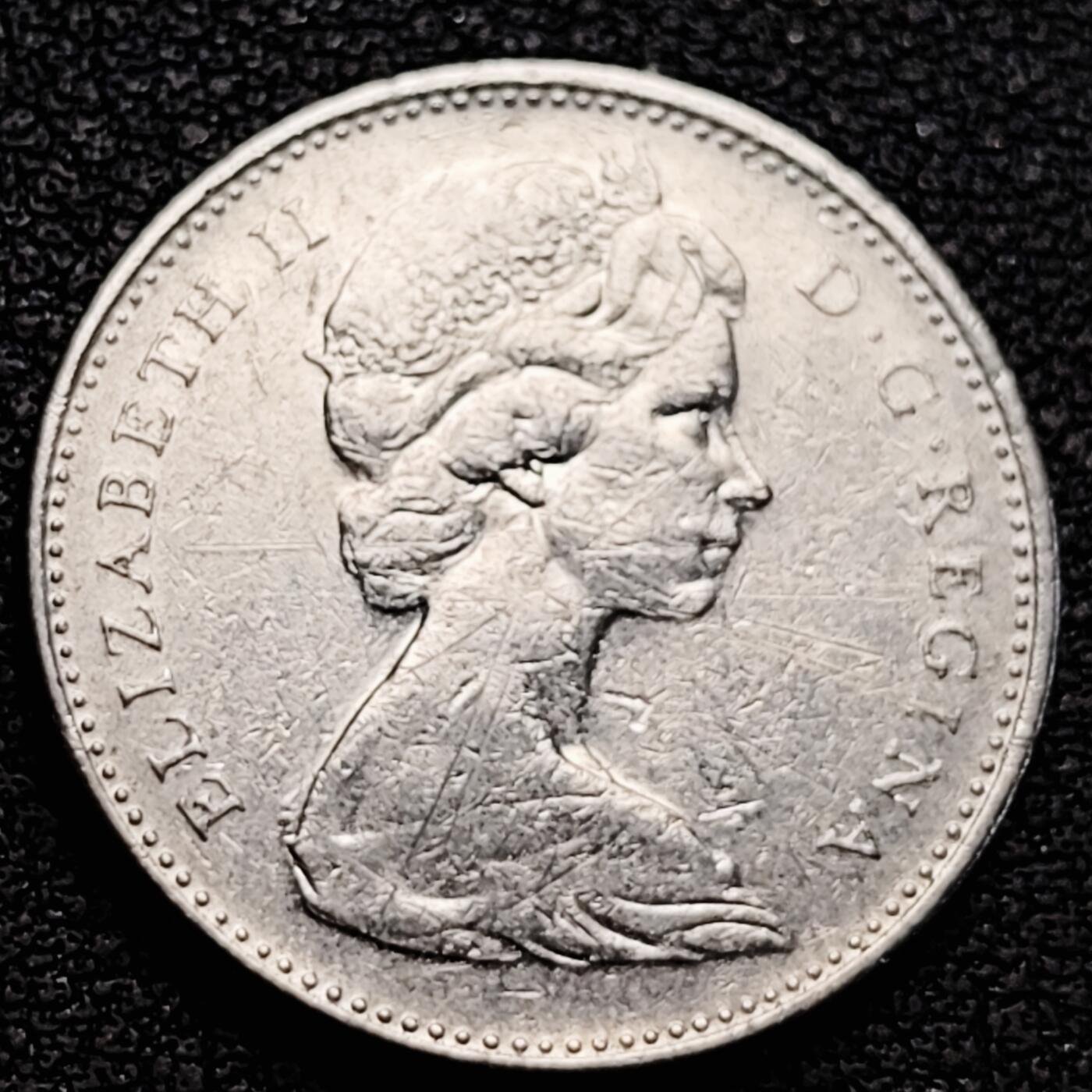 泉币菌-第183场- 精品福利场 。