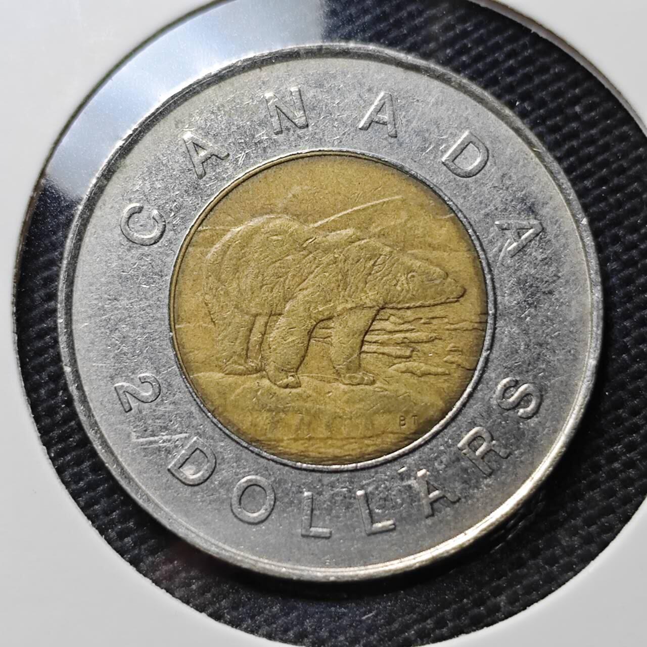 KK钱币收藏小铺  第395期  2月预留时间 周末发货