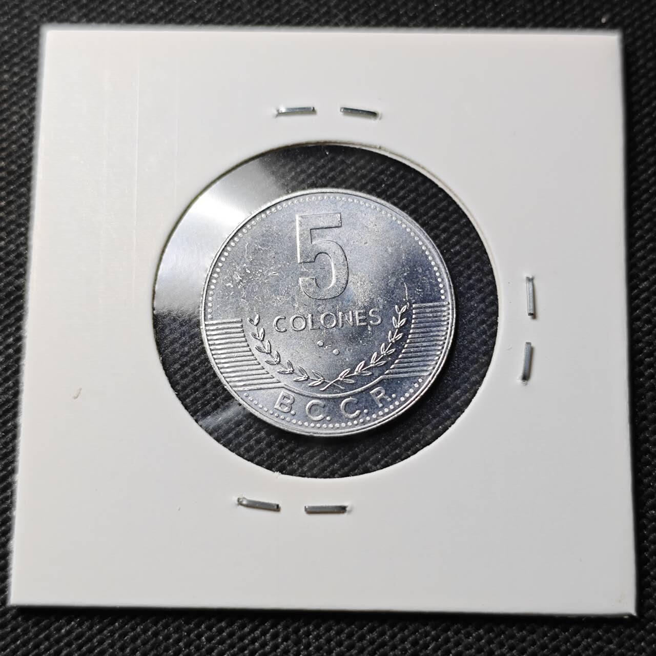 KK钱币收藏小铺  第395期  2月预留时间 周末发货