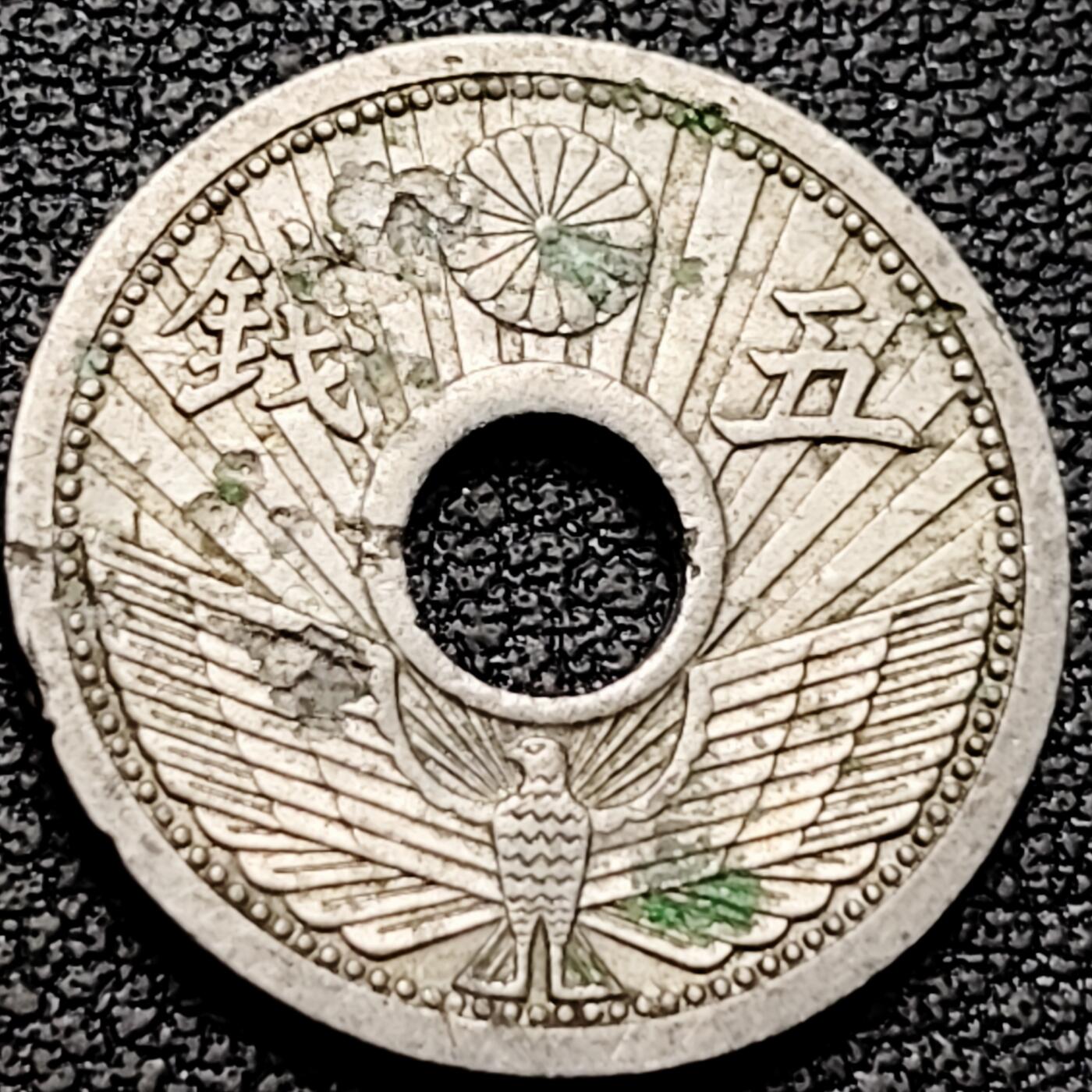 泉币菌-第185场- 精品福利场 。