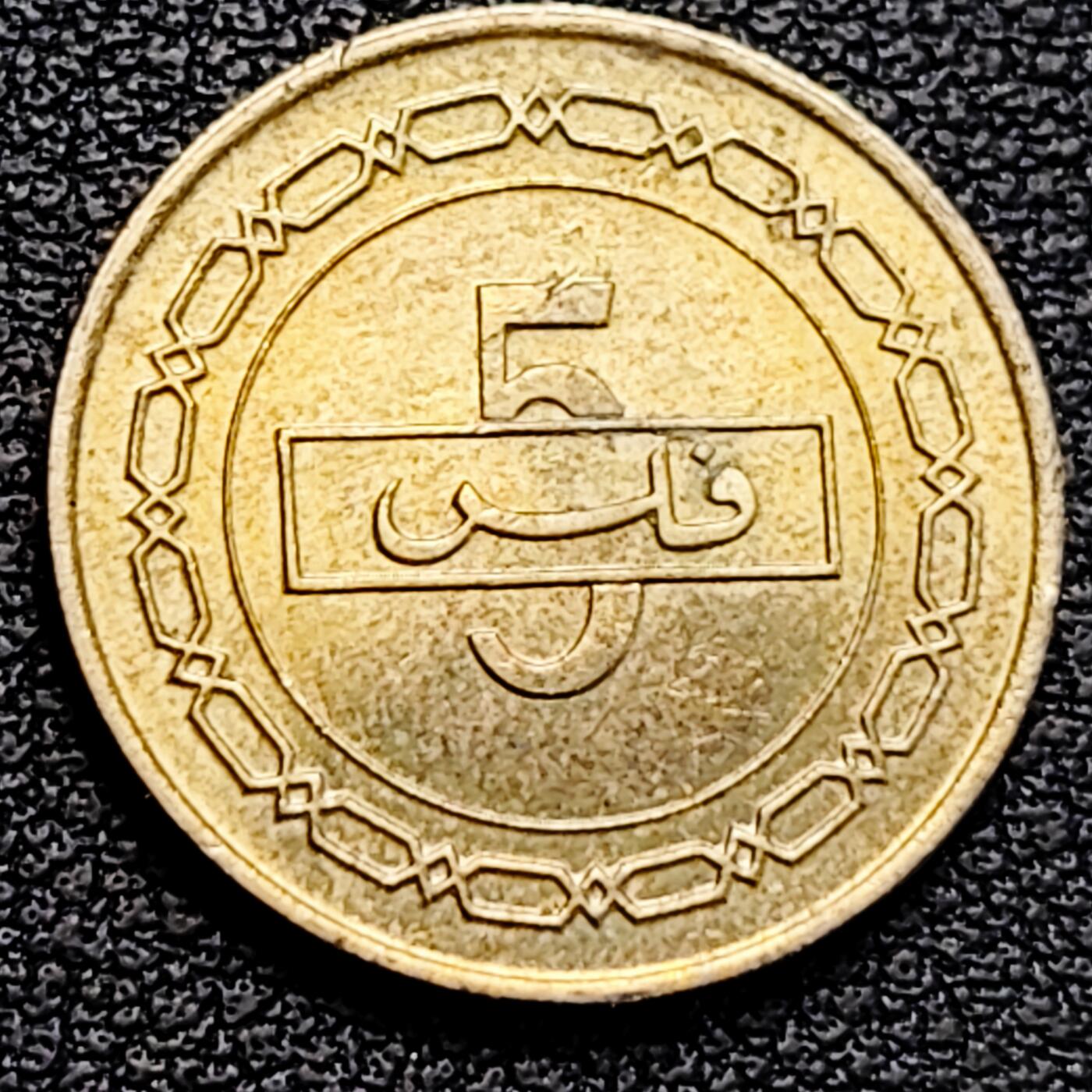 泉币菌-第183场- 精品福利场 。