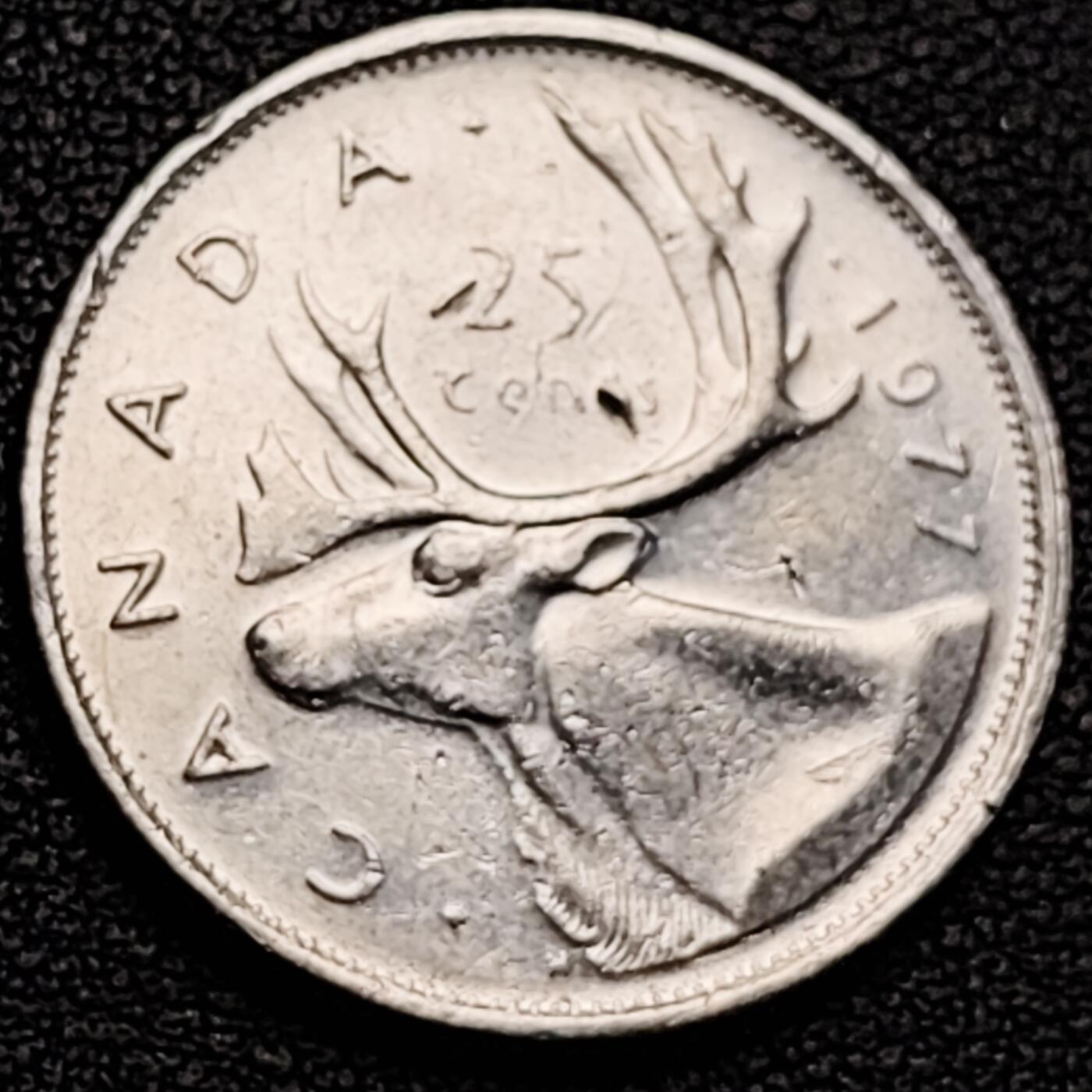 泉币菌-第183场- 精品福利场 。