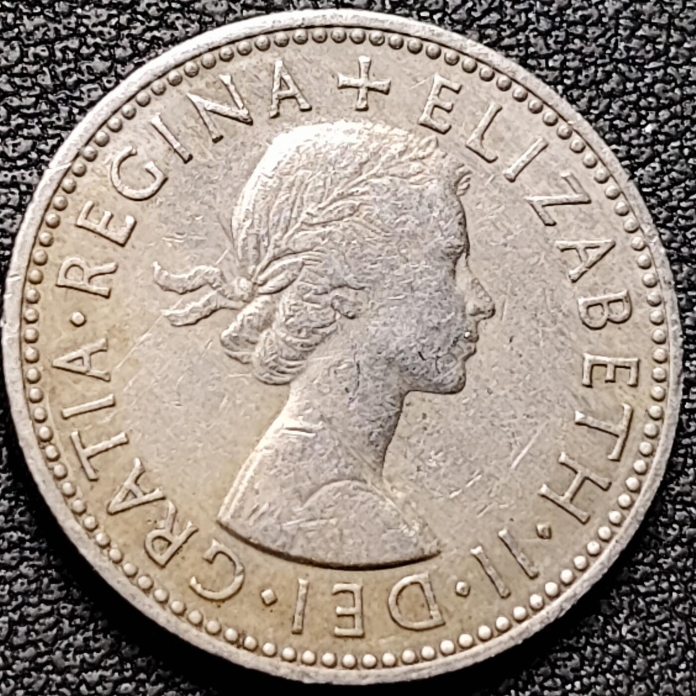 泉币菌-第184场- 精品福利场 。