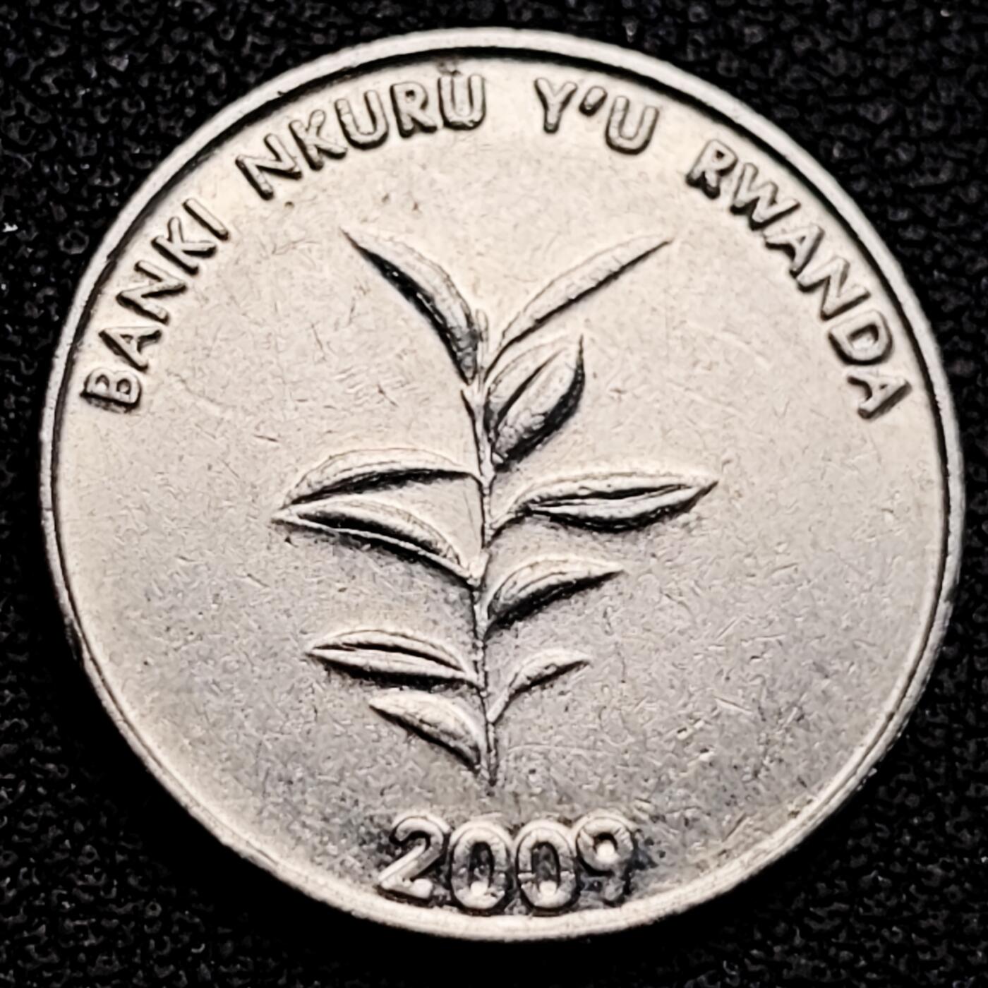 泉币菌-第183场- 精品福利场 。