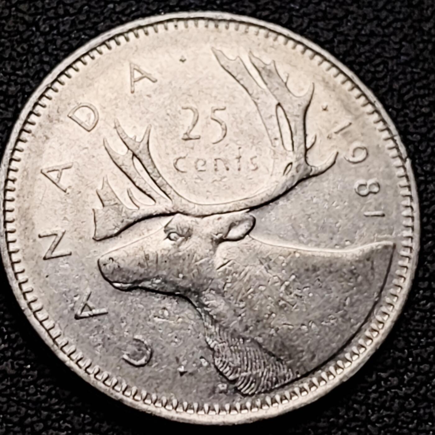 泉币菌-第184场- 精品福利场 。