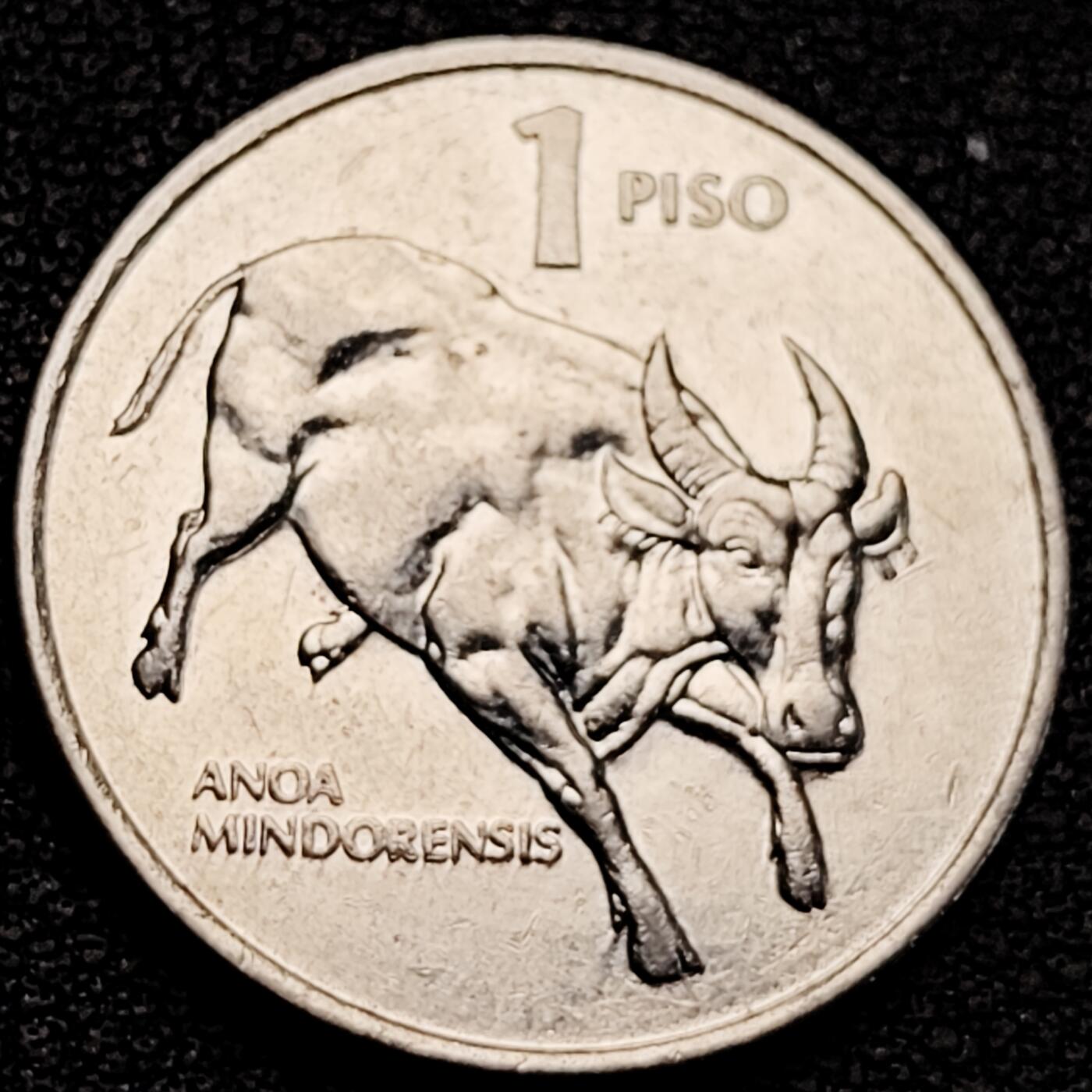 泉币菌-第183场- 精品福利场 。