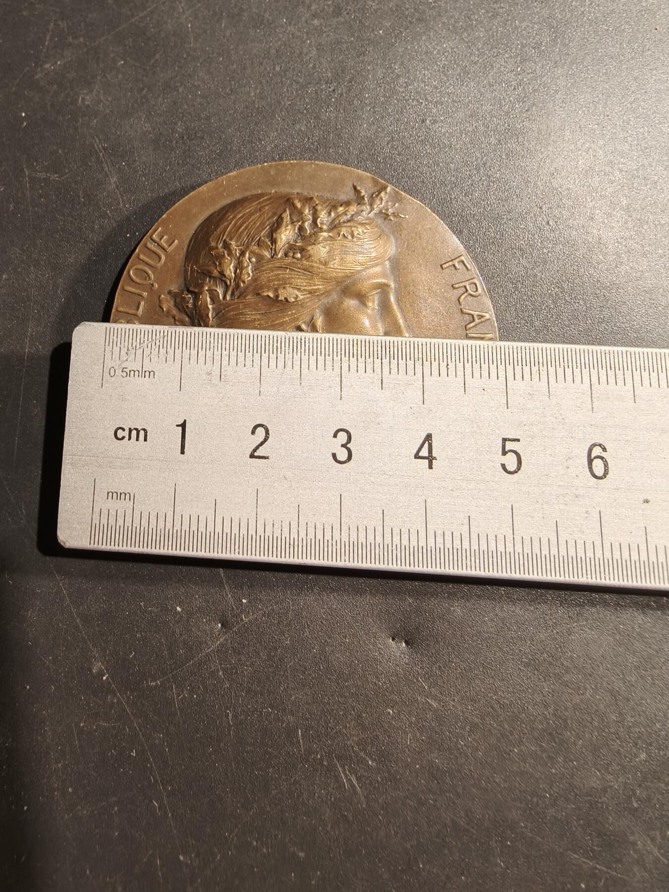 老王徽章第181期 法国参议员赠大铜章    原盒    盒子关不严     直径50mm     重量59.5g