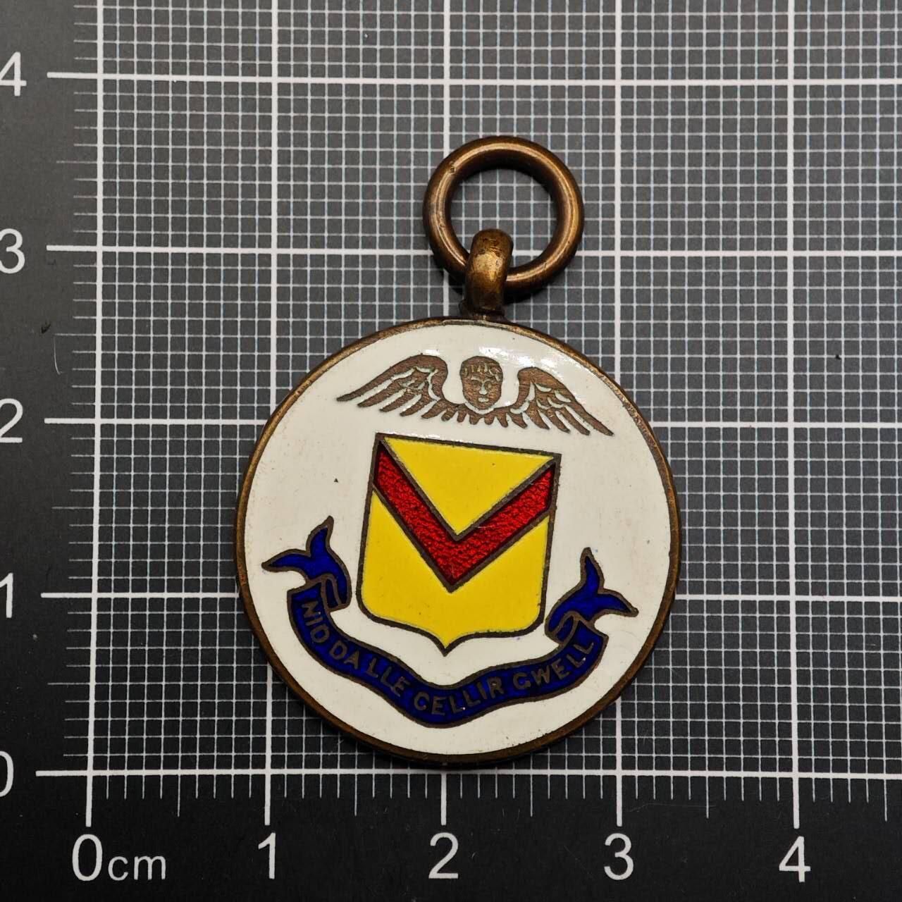  【淘币小摊】限时拍第八百六十八拍   章牌场   年前最后一周之前预留8号9号全部发出请更换最新收货地址不方便收货的请勿参拍或者顺丰到付  威尔士纪念章