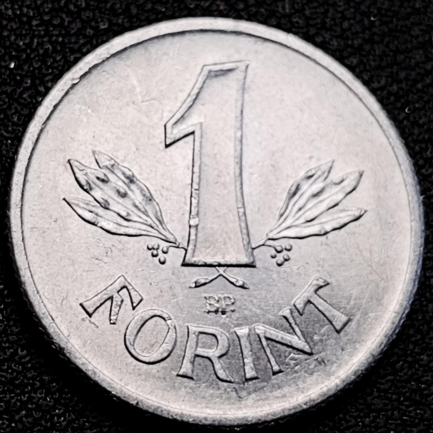 泉币菌-第183场- 精品福利场 。