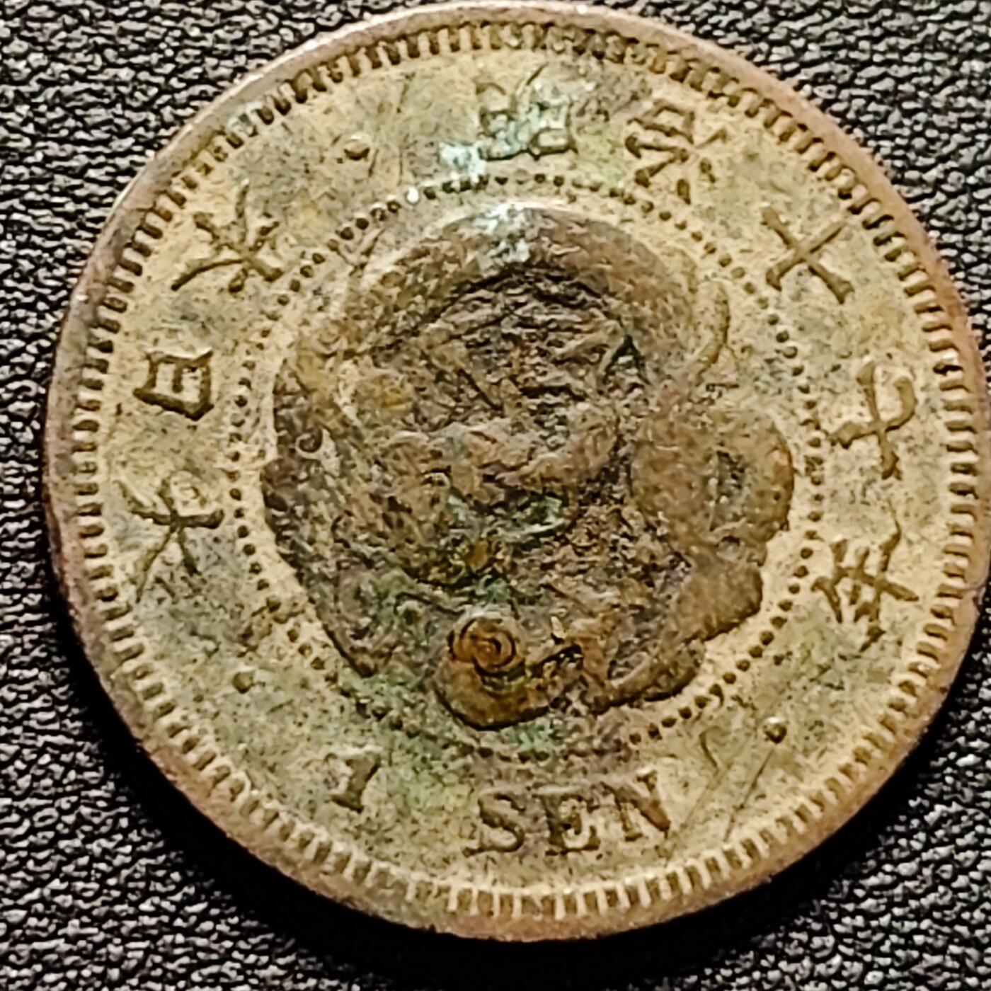 泉币菌-第185场- 精品福利场 。