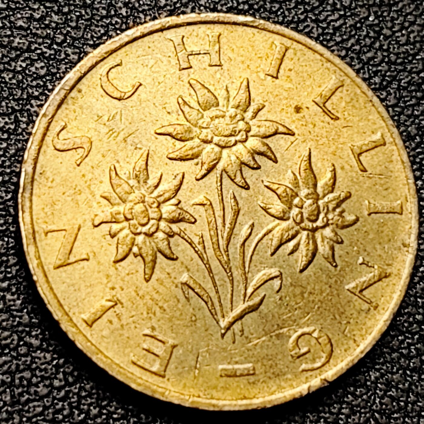 泉币菌-第182场- 精品福利场 。