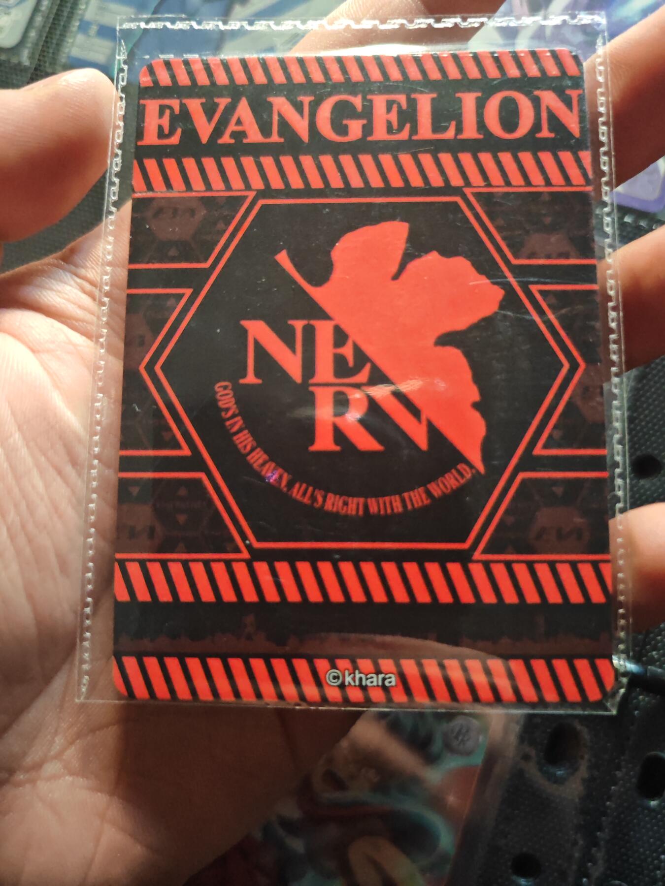 卡牌实验室开始第十三次实验 【PR】卡游EVA