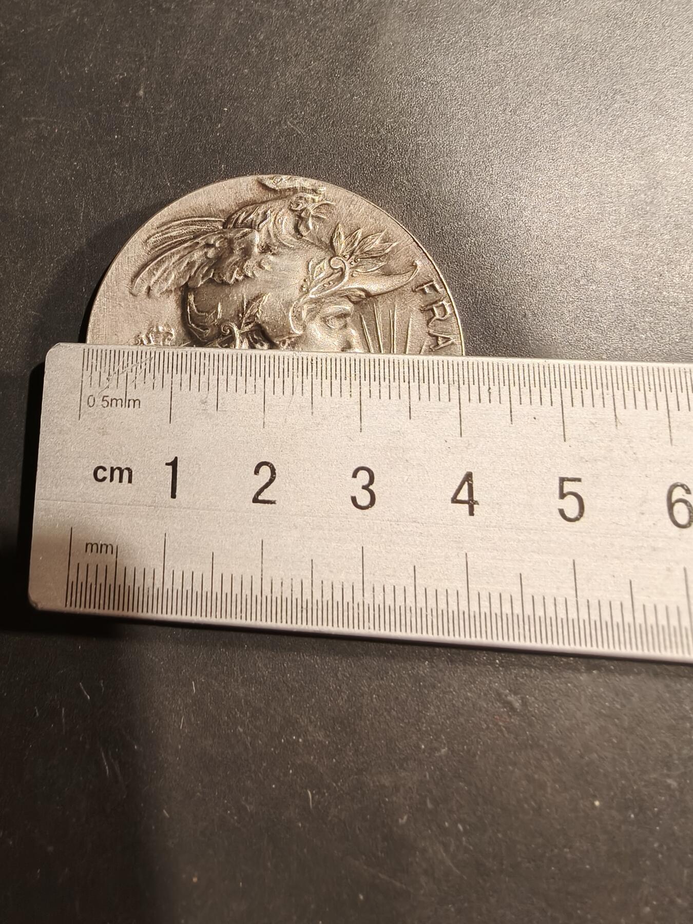 老王徽章第181期 法国忠诚工作镀银大铜章     公鸡头玛丽安娜      原盒     直径41mm    重量29.6g