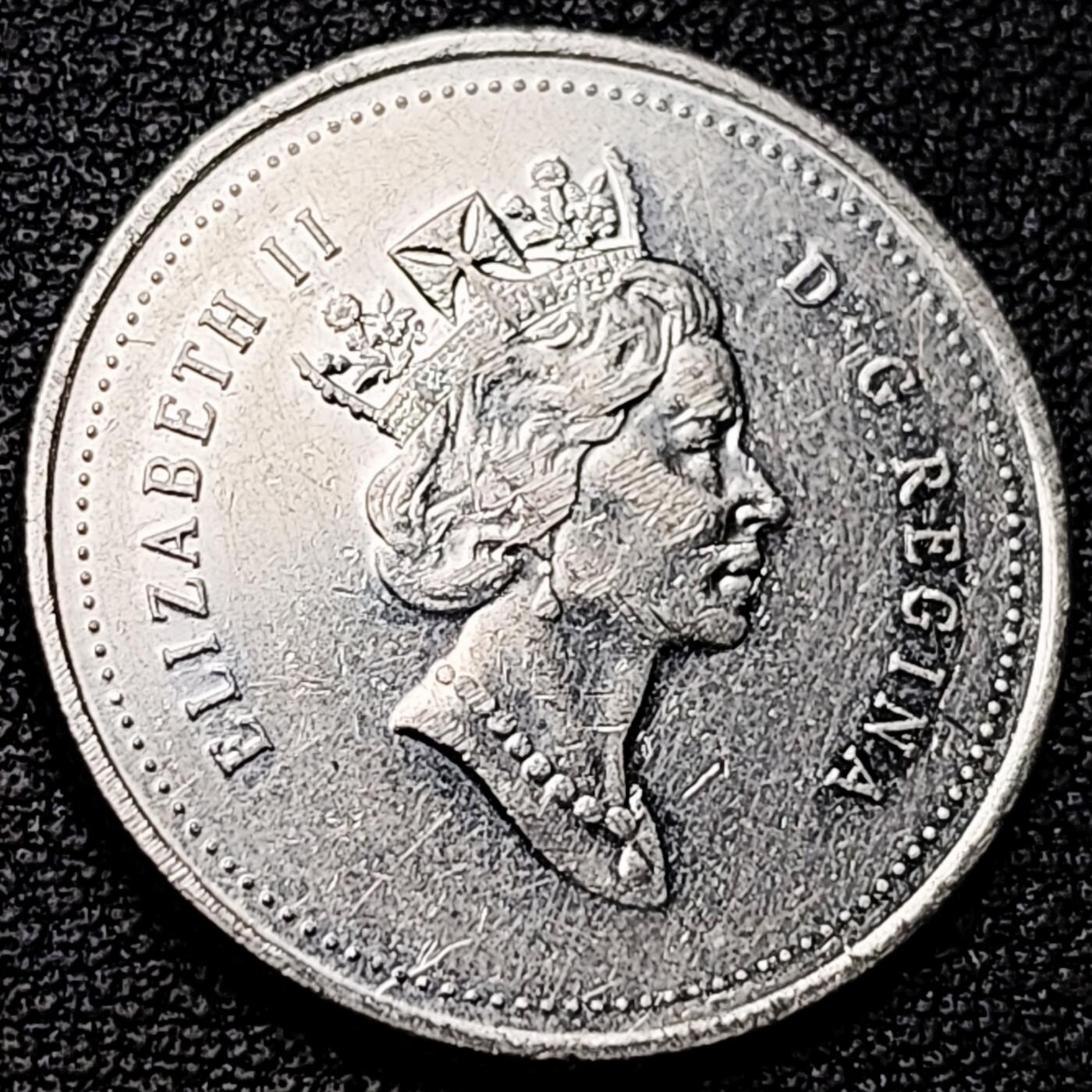 泉币菌-第182场- 精品福利场 。