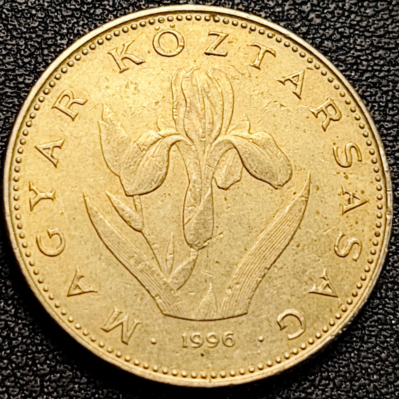 泉币菌-第183场- 精品福利场 。