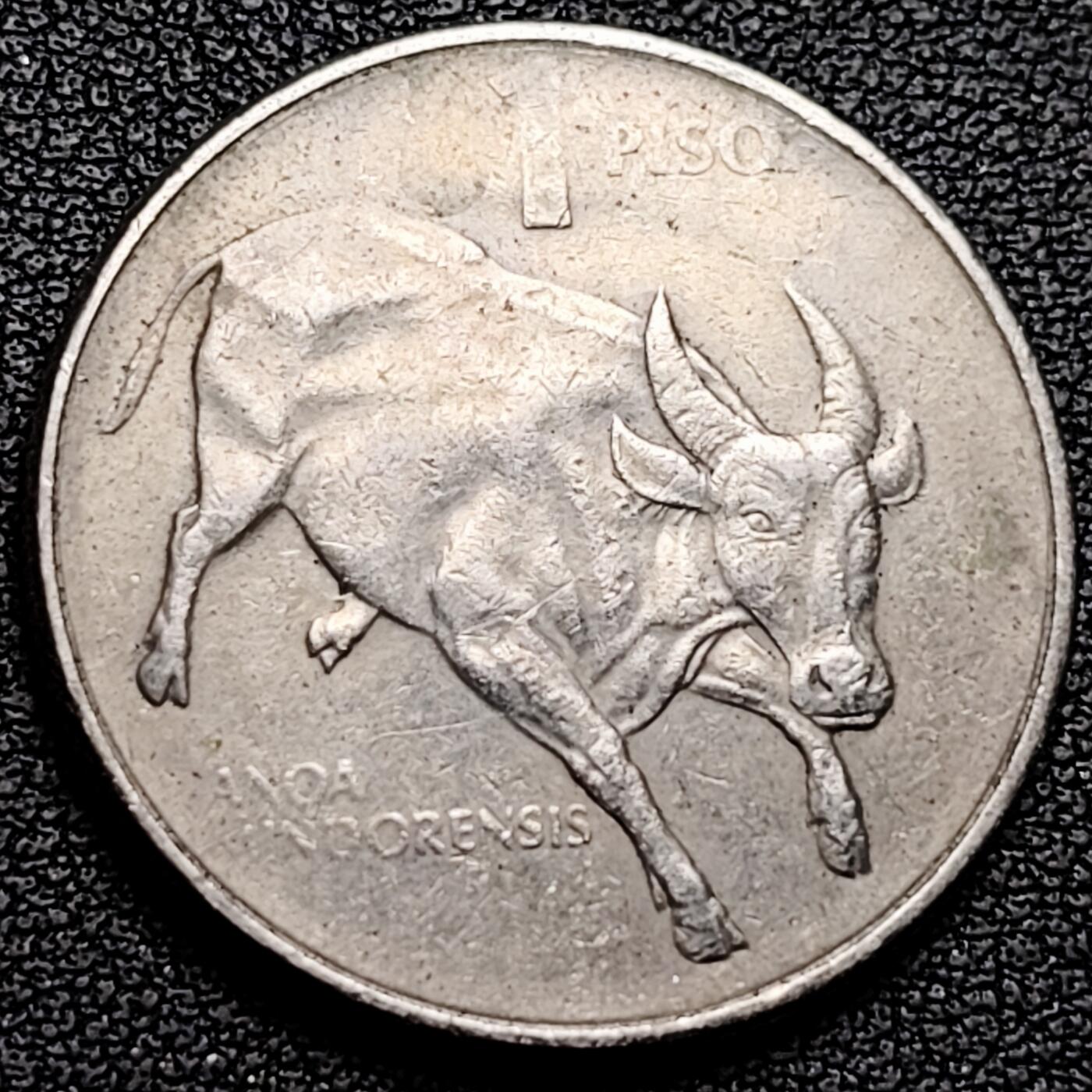 泉币菌-第185场- 精品福利场 。