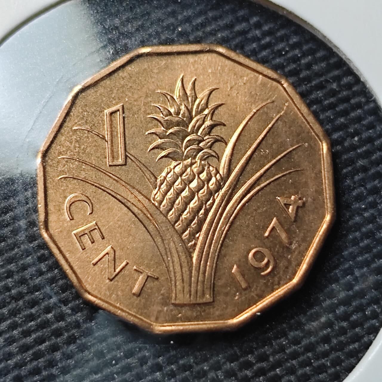 KK钱币收藏小铺  第395期  2月预留时间 周末发货  1974斯威士兰1分铜币 好品