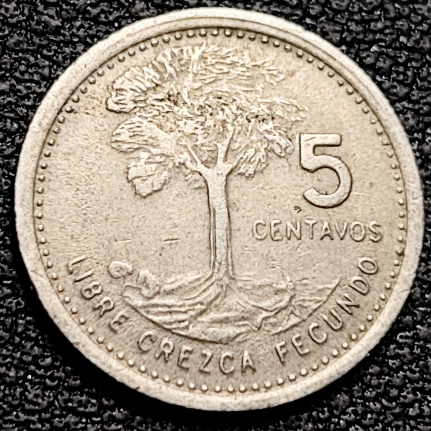 泉币菌-第185场- 精品福利场 。