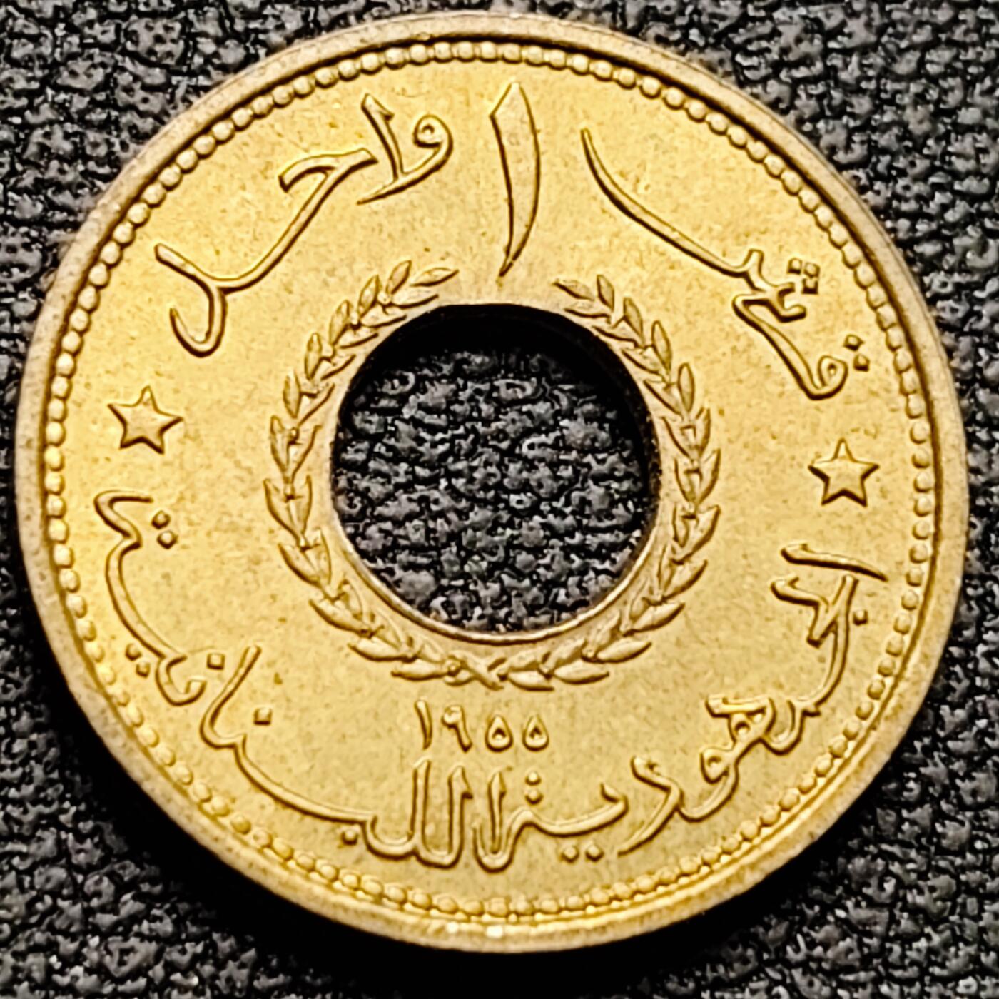 泉币菌-第184场- 精品福利场 。