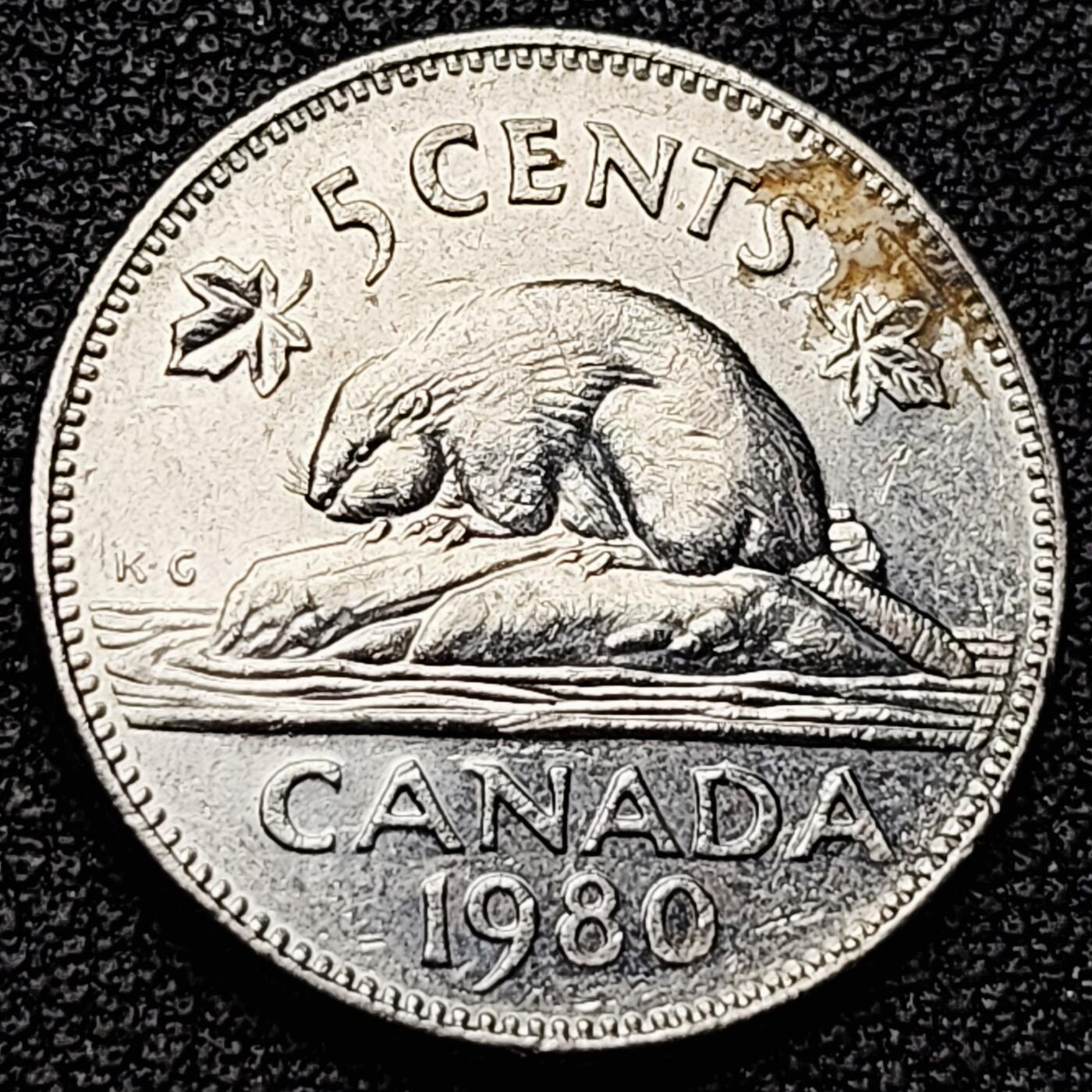 泉币菌-第182场- 精品福利场 。