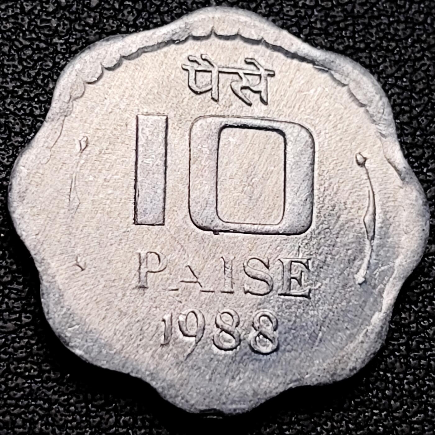 泉币菌-第185场- 精品福利场 。