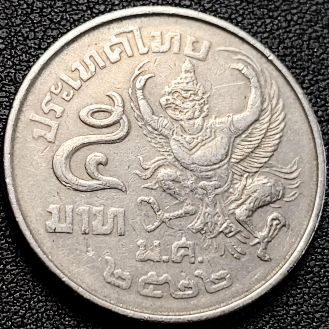 泉币菌-第183场- 精品福利场 。