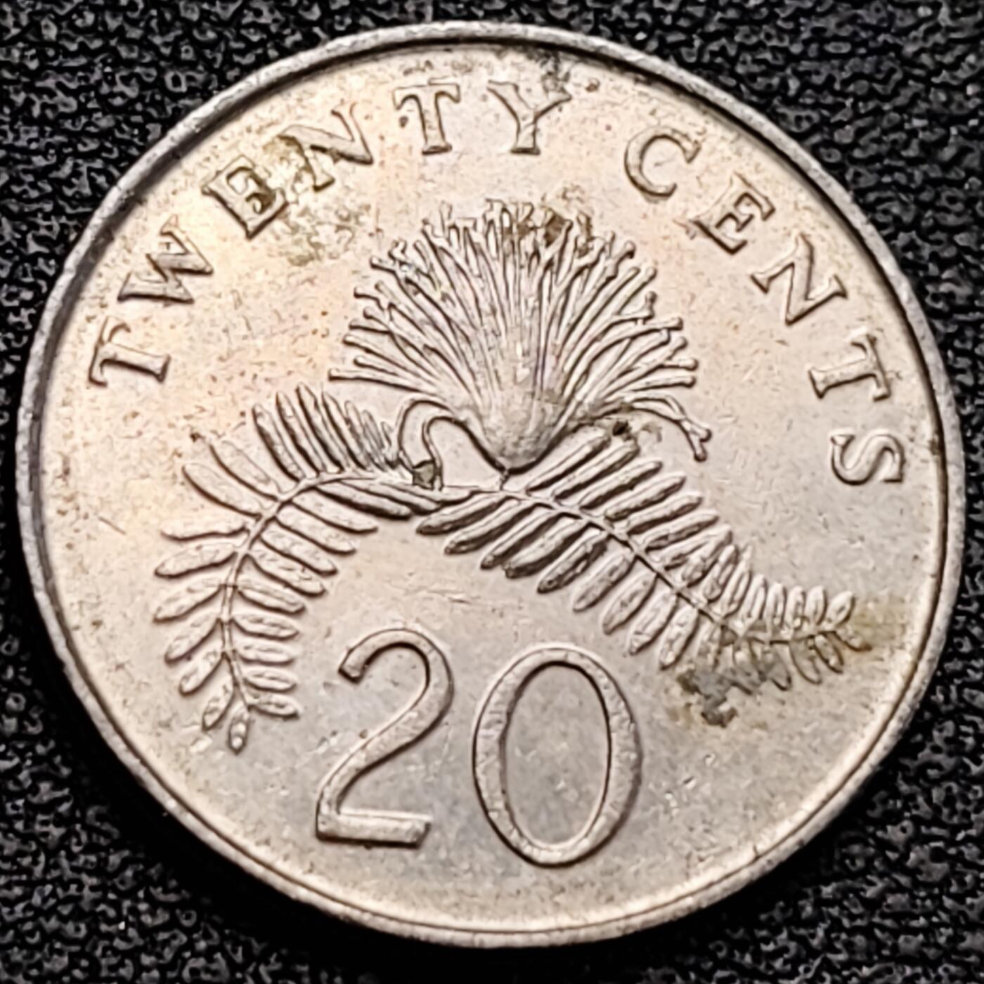 泉币菌-第183场- 精品福利场 。