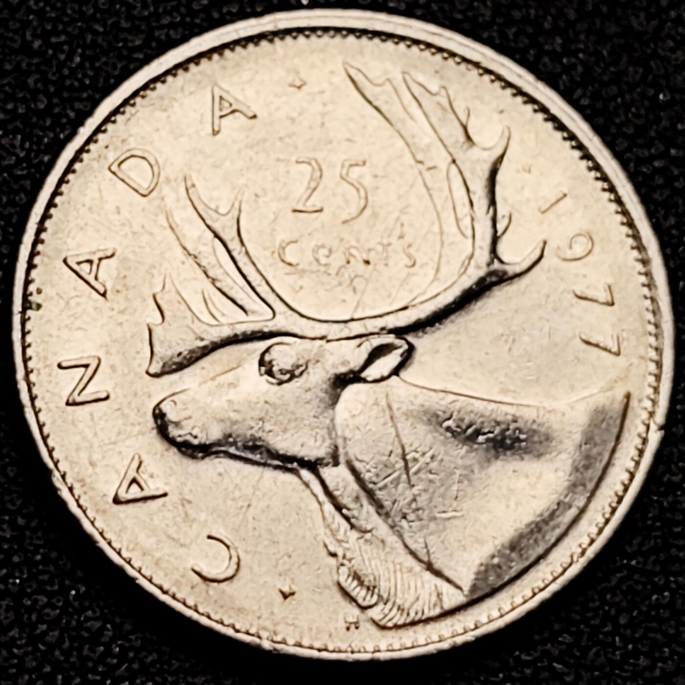 泉币菌-第185场- 精品福利场 。