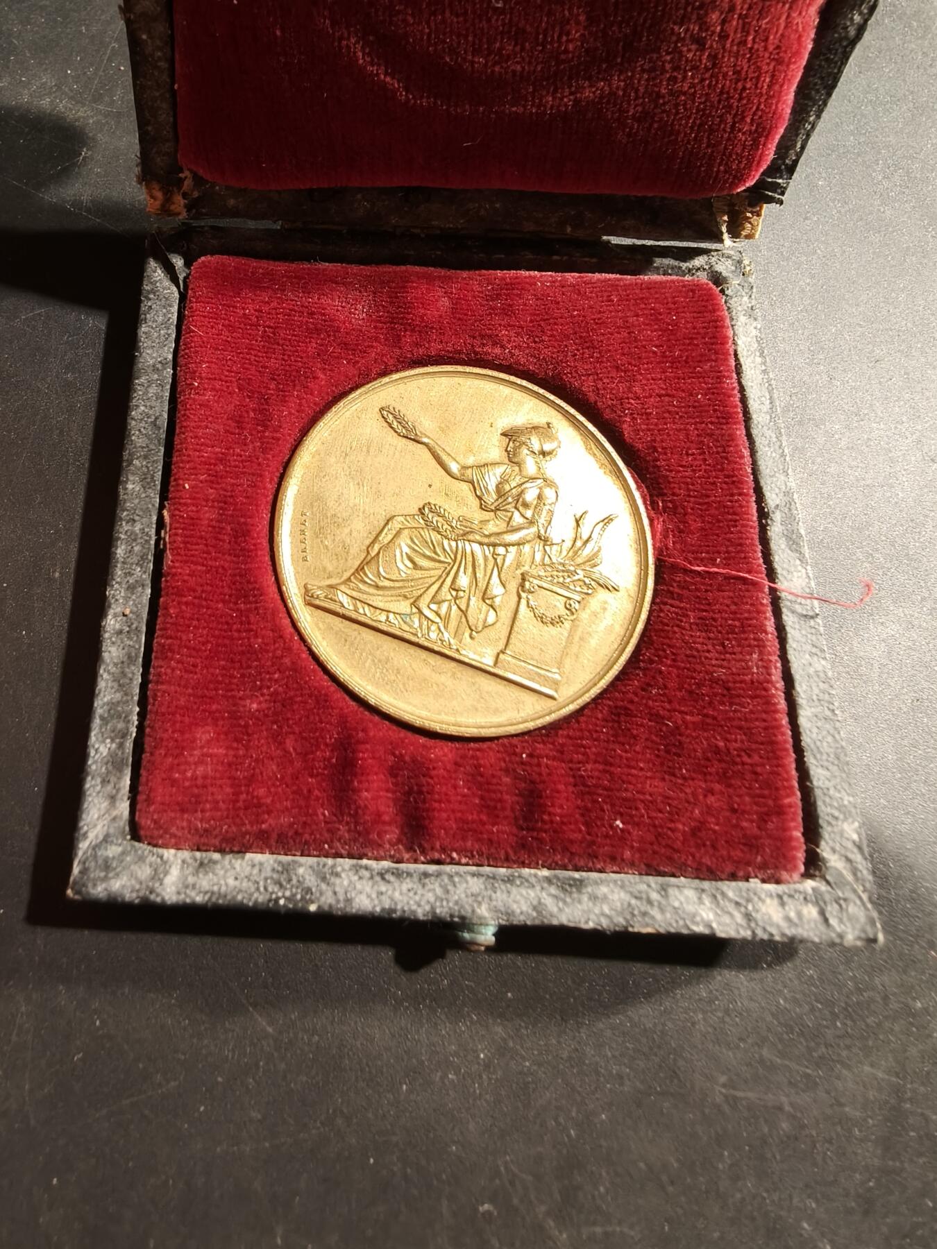 老王徽章第181期 法国1874年巴黎艺术学院镀金大铜章     原盒     蜜蜂cuivre铜标      直径36mm     重量20.4g