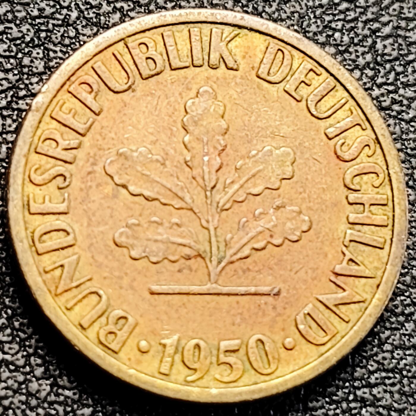 泉币菌-第183场- 精品福利场 。